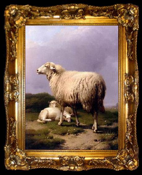 framed  unknow artist Sheep 142, ta009-2